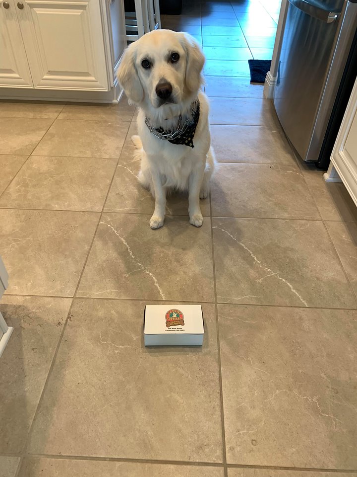 Canine Cupboard  Gourmet Dog Treats